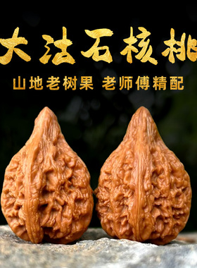 山中玉大沽石文玩核桃精品天然野生小众手盘古玩高端把件收藏级男