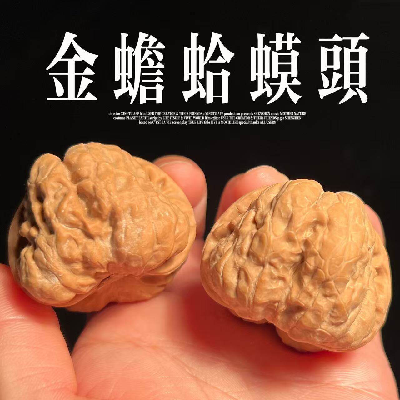 文玩核桃山区老树精品金蟾蛤蟆头天然野生收藏精配对盘玩手把件