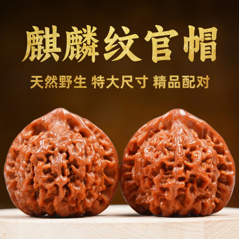 官帽核桃文玩精品收藏级天然野生麒麟纹王勇特大尺寸手把件高端男