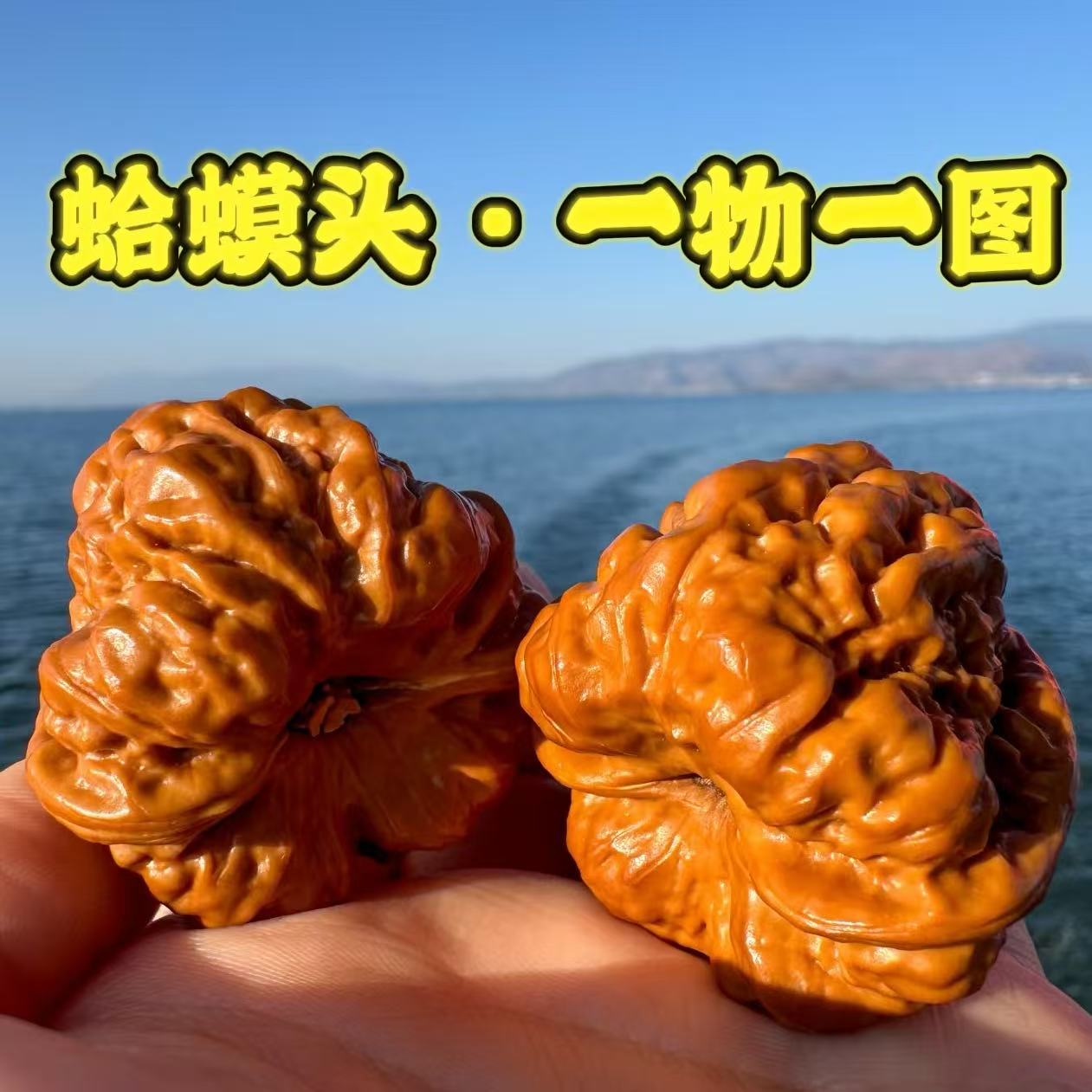 胖东来热卖文玩核桃金蟾蛤蟆头实拍一物一图精配对男女把玩手把件