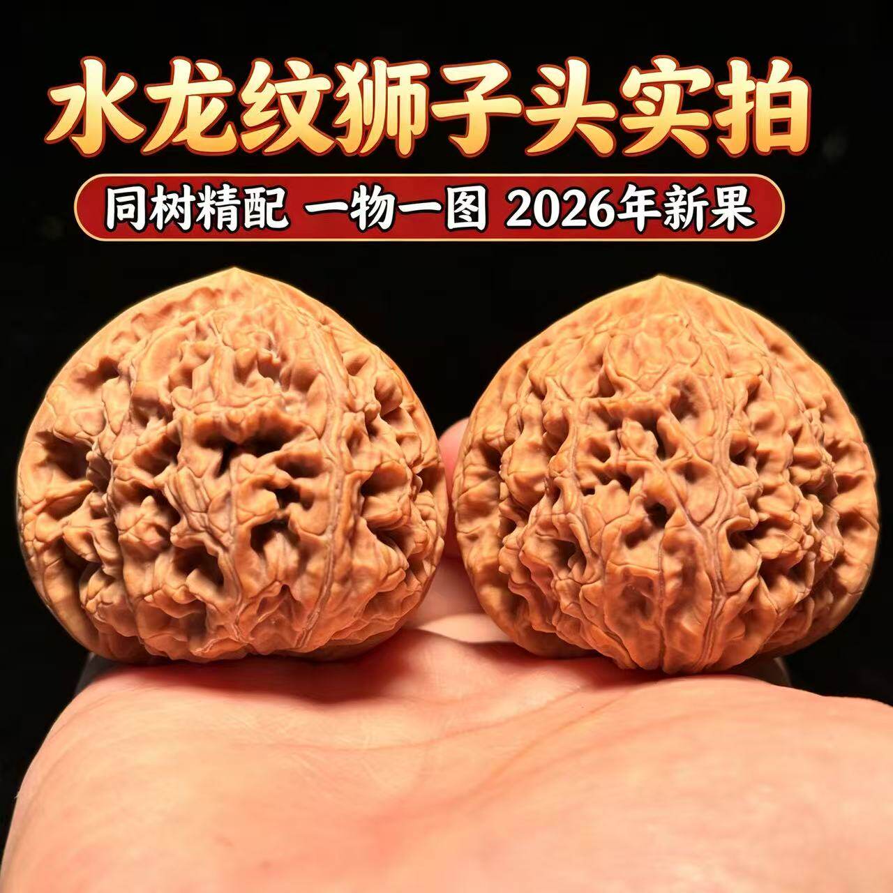 山中玉文玩实拍核桃一物一图水龙纹狮子头收藏级别手把件送礼佳选
