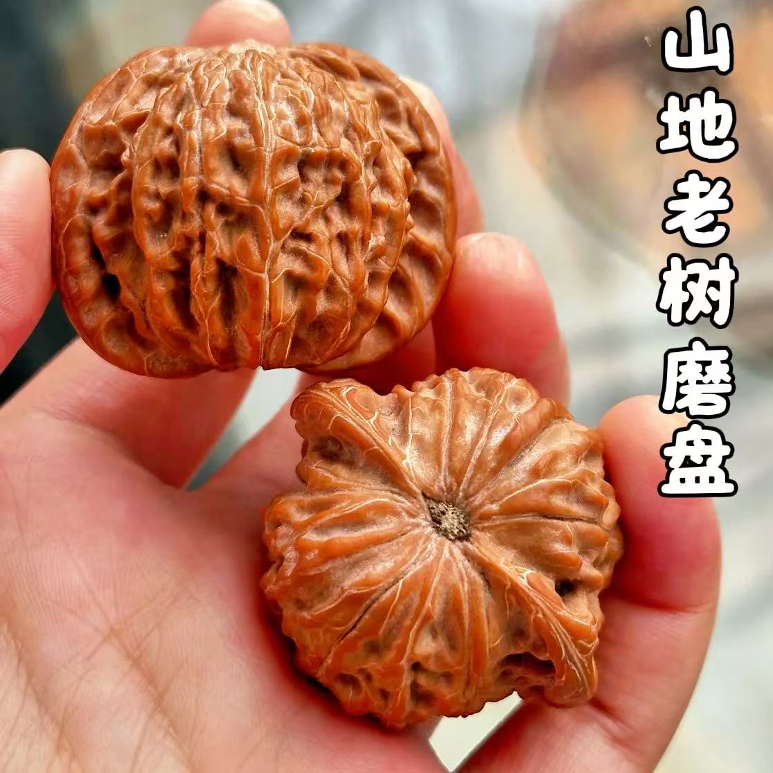 山地老树文玩核桃闷尖磨盘狮子头真精品男女送礼盘玩手把件