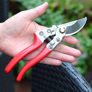 园艺修枝剪修剪树枝神器花艺果树剪枝工具园林强力剪子家用花剪刀