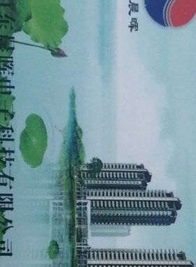 山东晨晖电表 泰安晨辉电卡 电子购 插卡复制R插卡式电子表水表