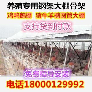 搭建养殖大棚骨架钢管钢架保温隔热椭圆管鸡兔鸭猪舍牛棚羊圈全套