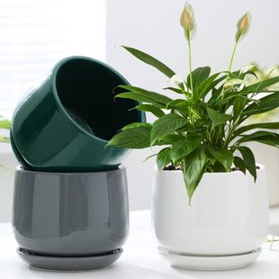 大号花盆陶瓷简约北欧圆形绿植桌面特大号带托盘家用阳台创意个性