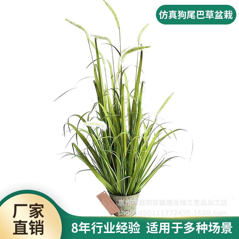 仿真狗尾巴草芦苇草绿植盆载仿真洋葱草北欧仿真植物家居装饰摆件