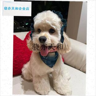 l耳朵狗狗耳花宠物狗耳花饰品可卡查理王P美卡史宾格头花耳套