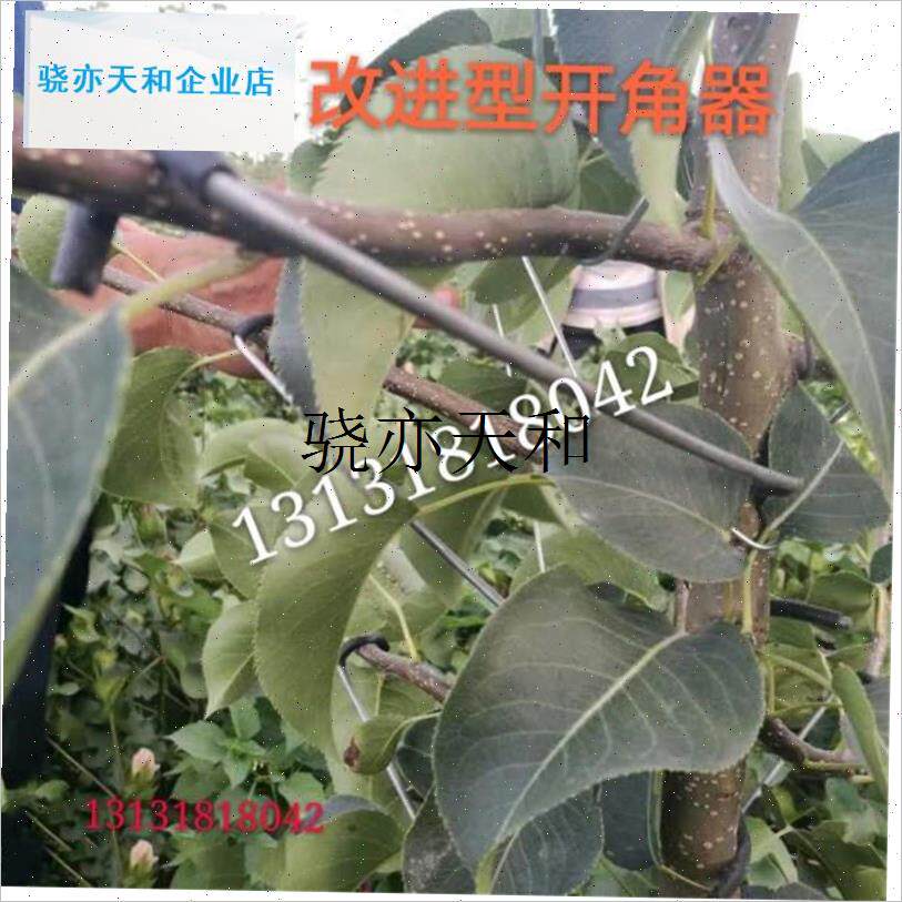 l德助包邮果树拉枝器改进型w开角器压主干型定型别枝器农用工具