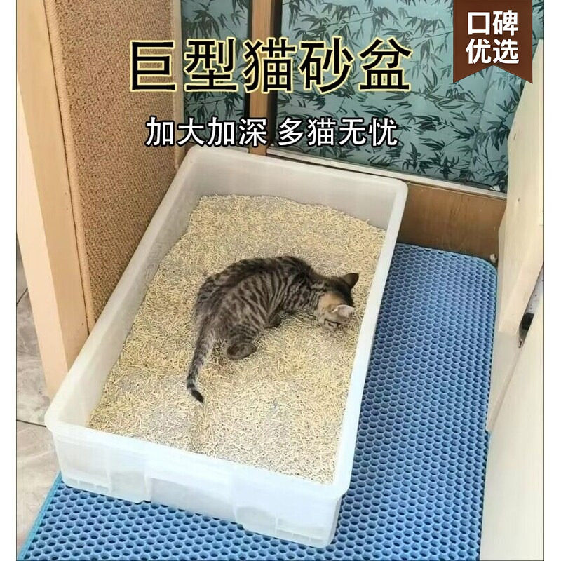 缅因猫集装箱猫砂盆全开放特大号周转箱巨型特大号猫厕所图片