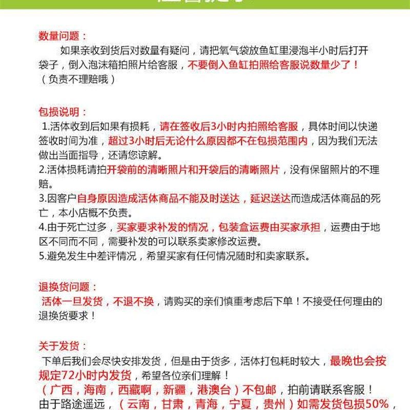 极速黑壳虾除藻虾观赏虾淡水虾活体饲料草缸工具虾U清洁鱼缸虾粮,节庆用品/礼品,路引,淘宝优惠券,粉丝福利购,淘宝优惠卷