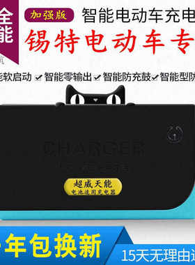 极速锡特电动车电瓶充电器48V12AH20AH60V64V72V84VS96V24V32通用