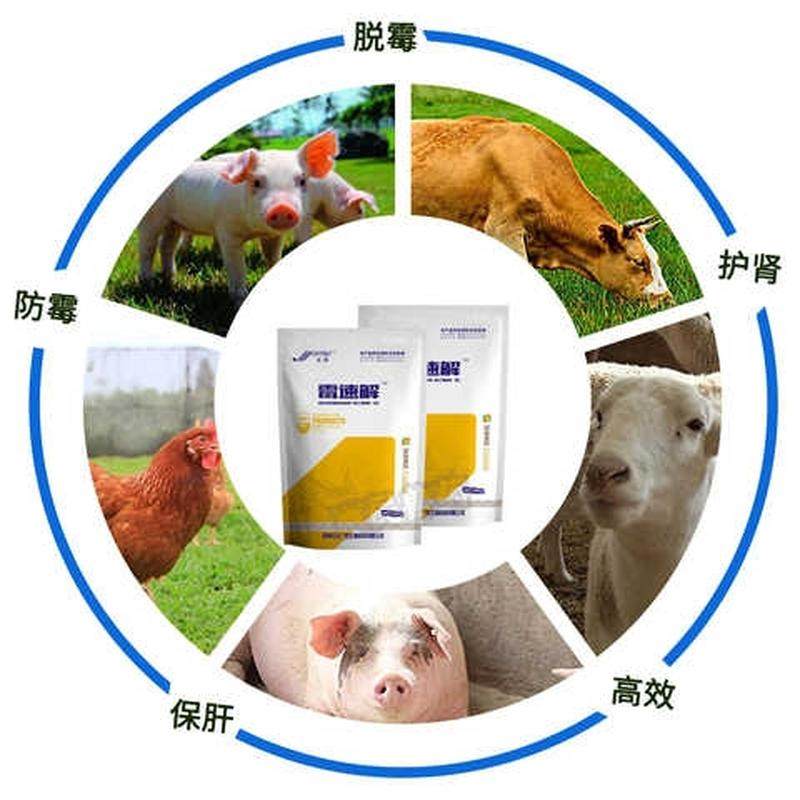 极速兽用水溶脱霉剂脱霉净霉速解猪牛羊鸡鸭M玉米反刍脱霉素饲料