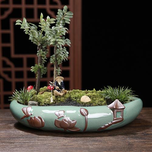 极速中国风哥f窑盆发财树榕树陶瓷花盆文竹大口径盆栽花卉盆景桌