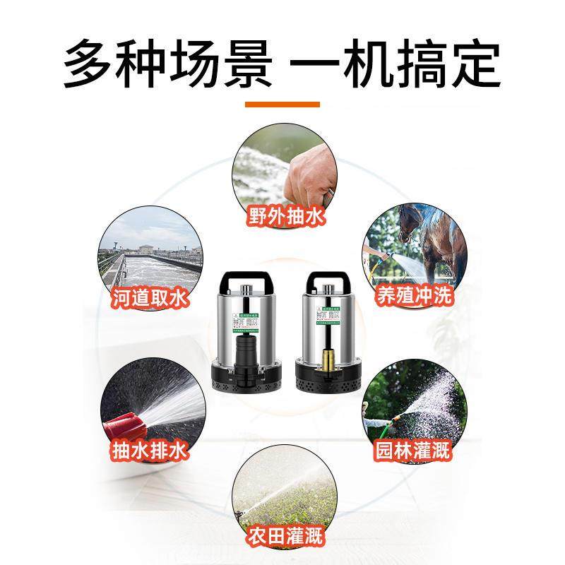 极速家用直流潜水泵12V24V农用抽水泵4G8V60V高扬程电瓶小型灌溉,居家布艺,入户地垫,淘宝优惠券,粉丝福利购,淘宝优惠卷