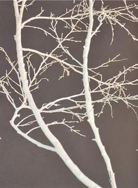 极速干树c枝干枝干树白色枯树枝仿真艺术假树造型树树枝装饰仿真