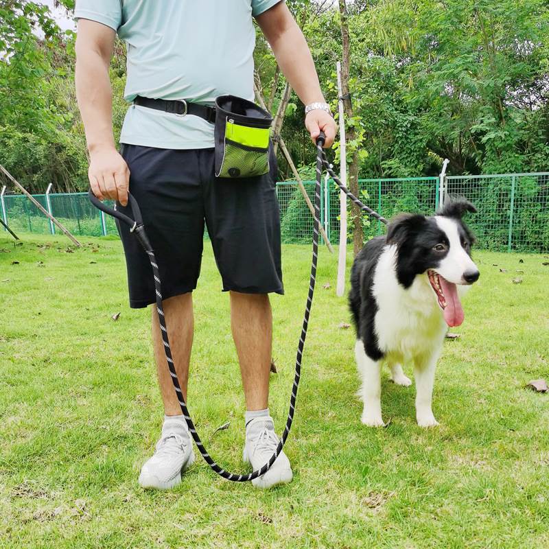 极速一体式免项圈宠物牵引绳 y中大型犬尼龙防爆冲训狗加长防勒脖