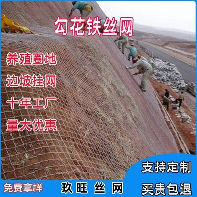 极速镀锌铁丝网护坡绿化菱形勾花网公路边坡客土喷播X种草喷浆挂