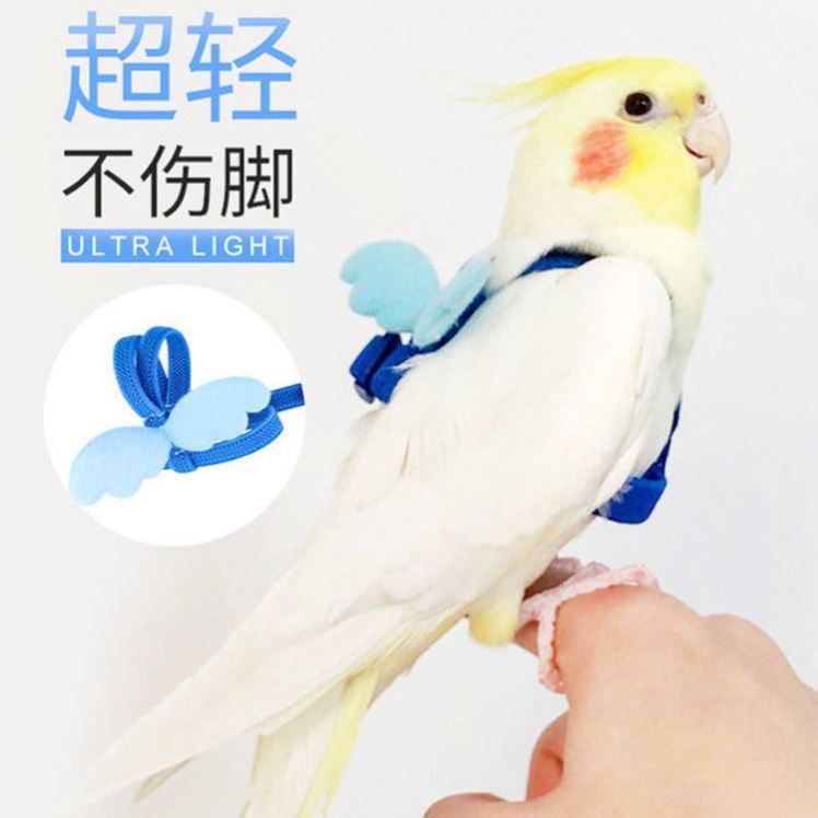 极速鹦鹉放飞绳遛鸟神器玄风外出B抱婴袋飞行绳虎皮牡丹牵引绳训