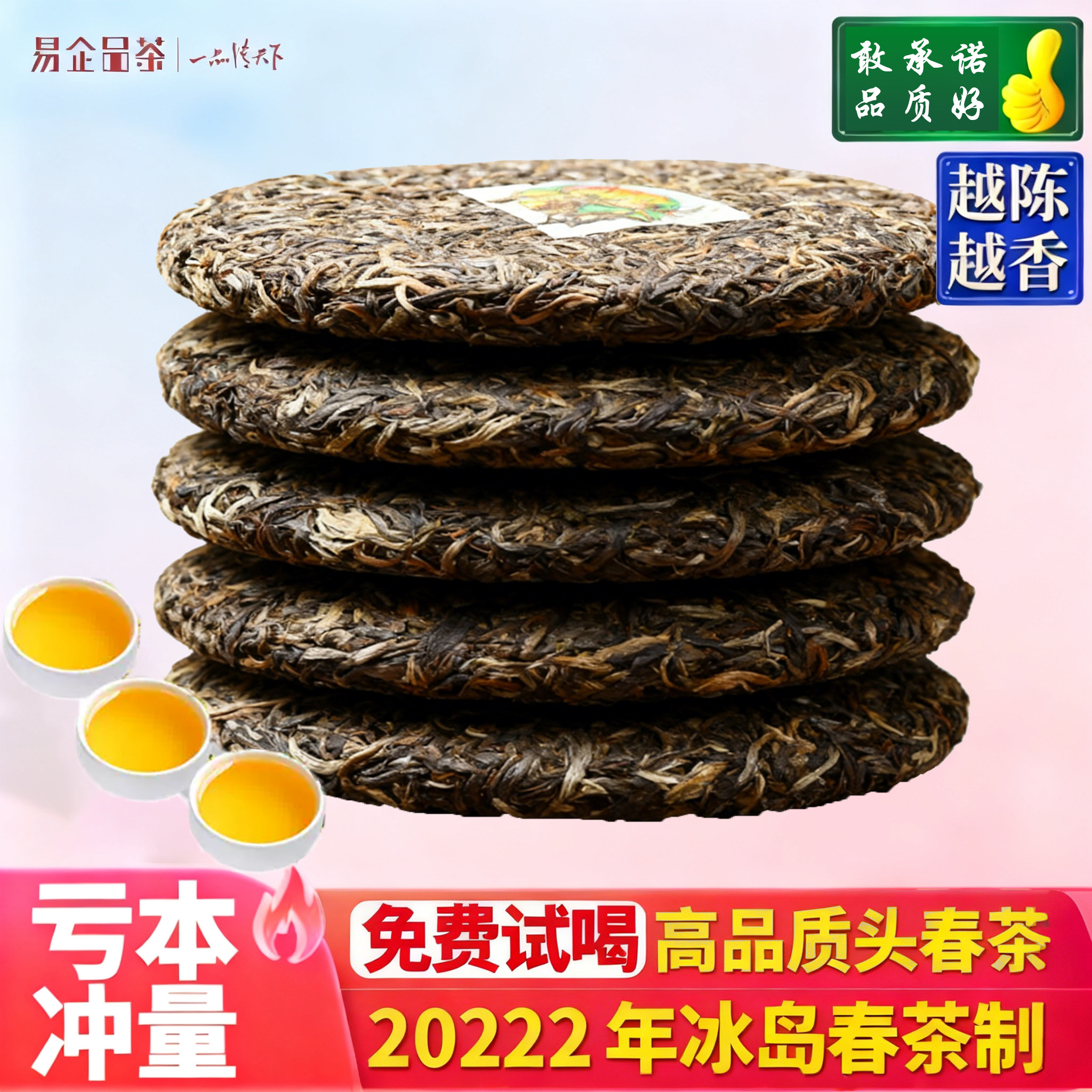 2022年冰岛春茶制普洱茶饼高品质头春茶免费试喝云南普洱茶精品茶