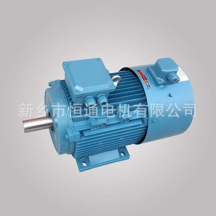 千业牌 YP-50-0.37-2 变频电机YP-50-0.55-2 200HZ电动机 质量强
