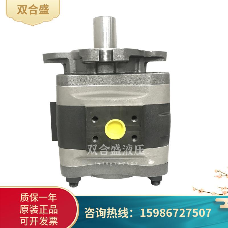 voith福伊特内啮齿轮泵IPVAP7-125/160/200/250-111定量泵 伺服泵