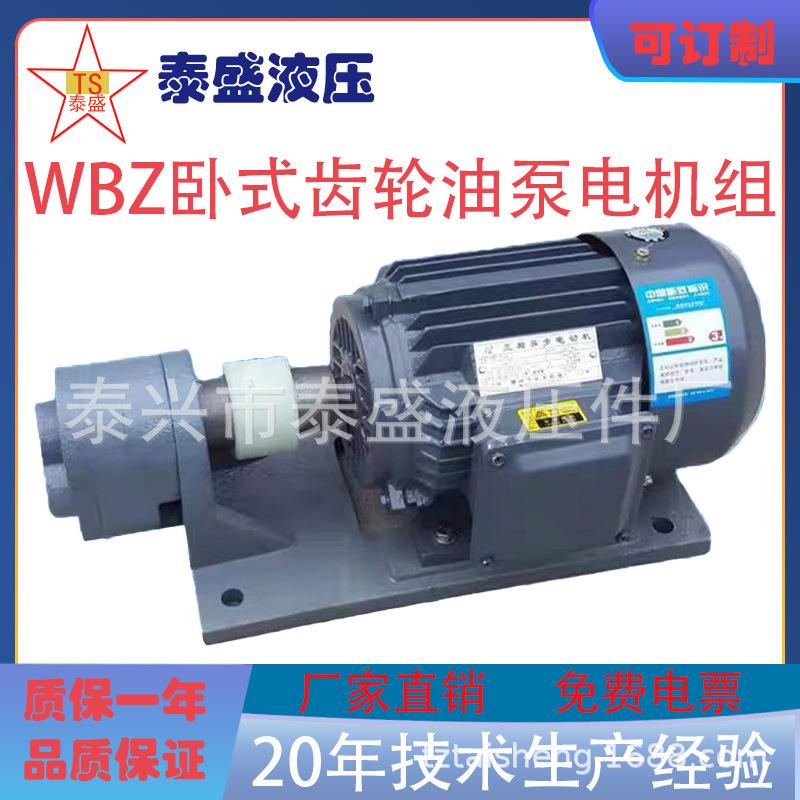 WBZ-16/25/20/32JZ卧式齿轮油泵电机组装置WBZ2-16/25/32 1.1KW