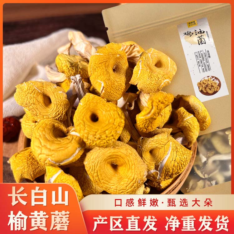 东北特产野生榆黄蘑干货鸡油菌当年新货黄丝菌金顶侧耳蘑煲汤蘑菇图片