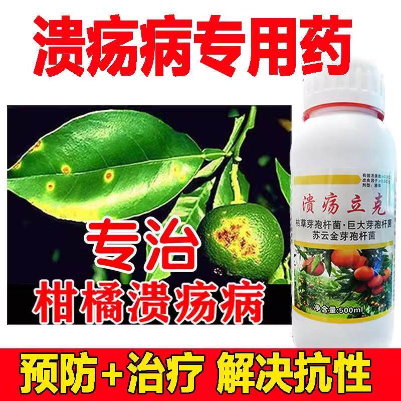 柑橘溃疡病专用菌剂炭疽病煤烟病