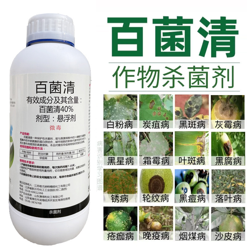 40百菌清炭疽病霜霉白粉锈