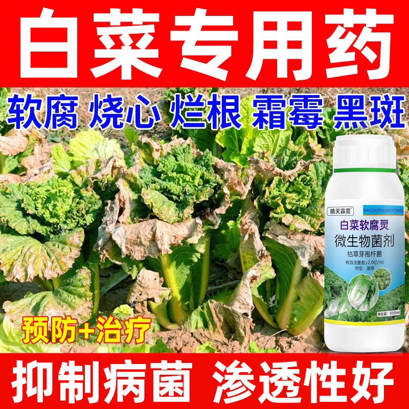 白菜病害药通用防腐烂大根