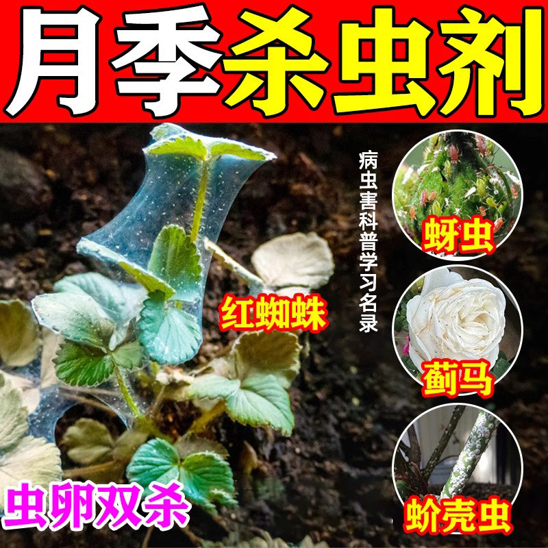 月季杀虫药花卉植物病害常