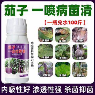 茄子专用药茄子黄萎病炭疽病疫病灰霉病根腐病枯萎病茄子病害专用