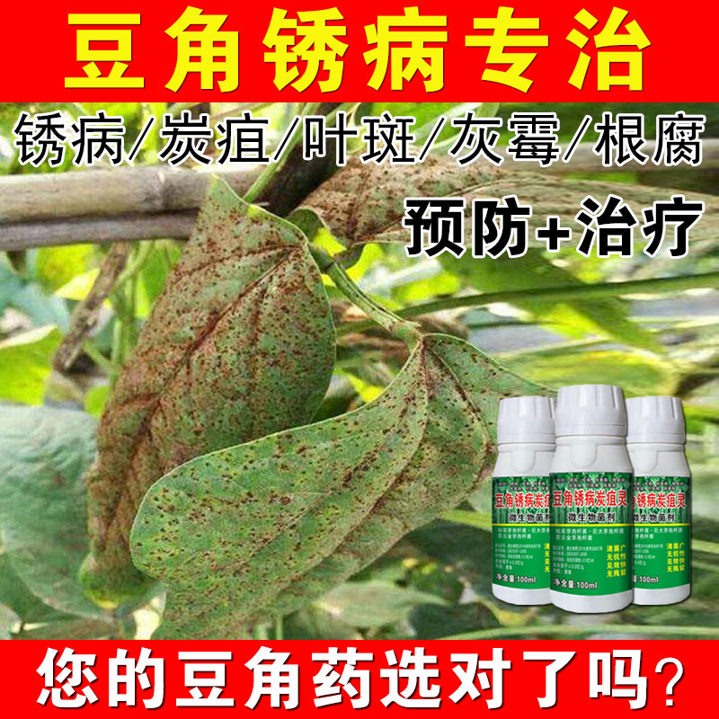 豆角病杀菌药防治锈炭疽灵