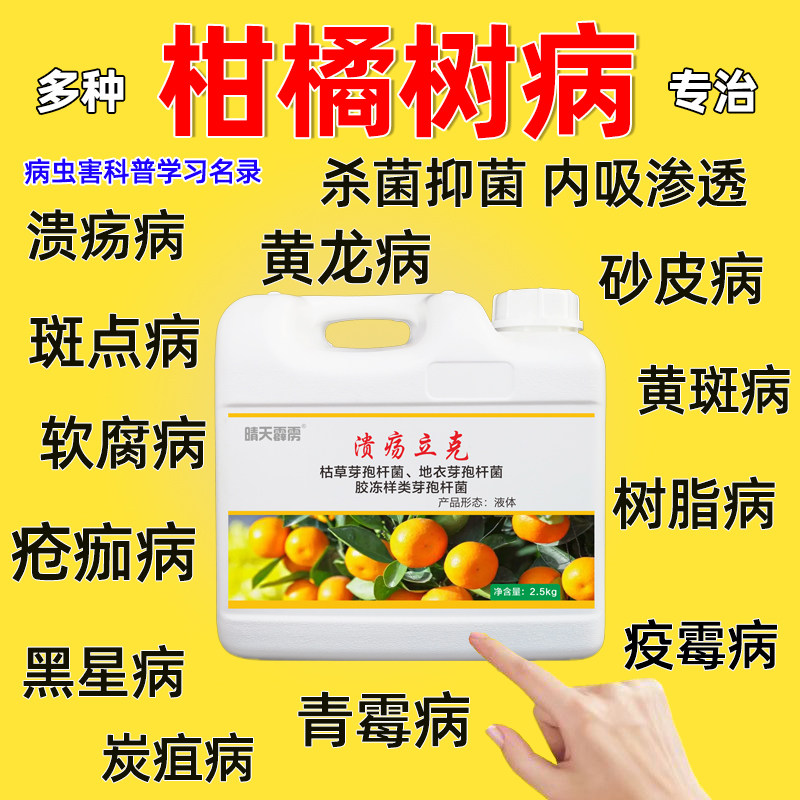 柑橘溃疡病专用药疮痂炭疽