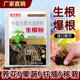生根粉植物通用生根壮苗剂扦插用发根营养生根剂树木果树移栽发根