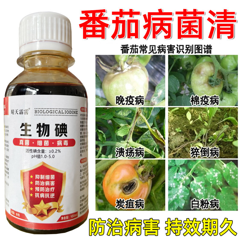 番茄专用药病菌清疫防治早
