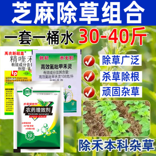 芝麻地苗后三效合一叶面喷施农用成活有机硅除禾本科除草剂