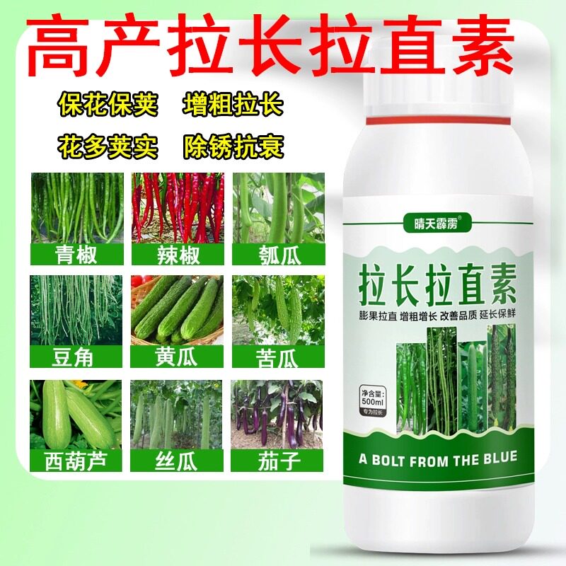 黄瓜丝辣椒拉长直膨大素豆