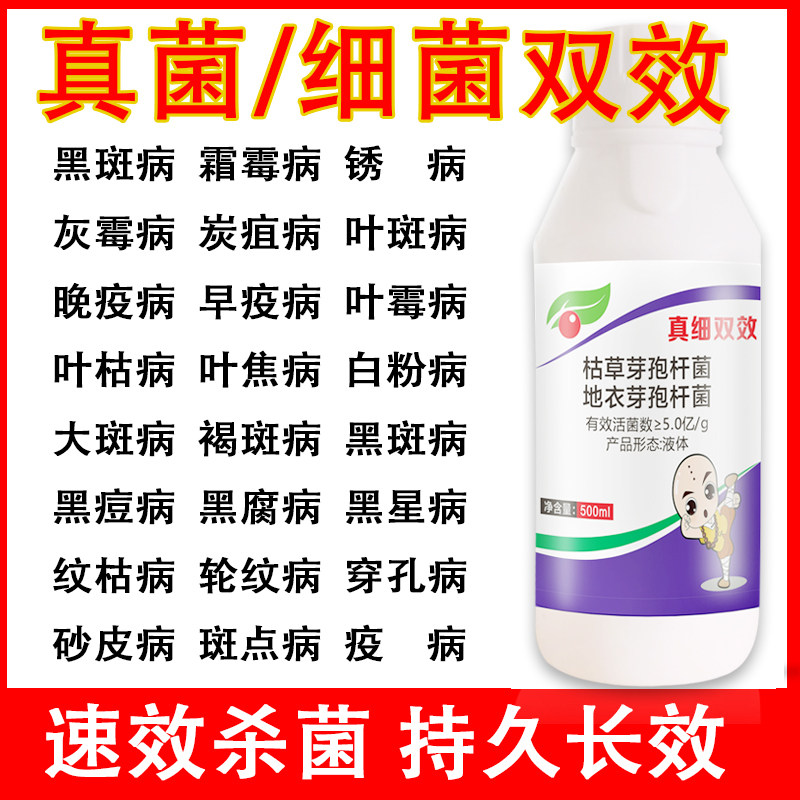 通用杀菌剂真细病毒黑斑霜