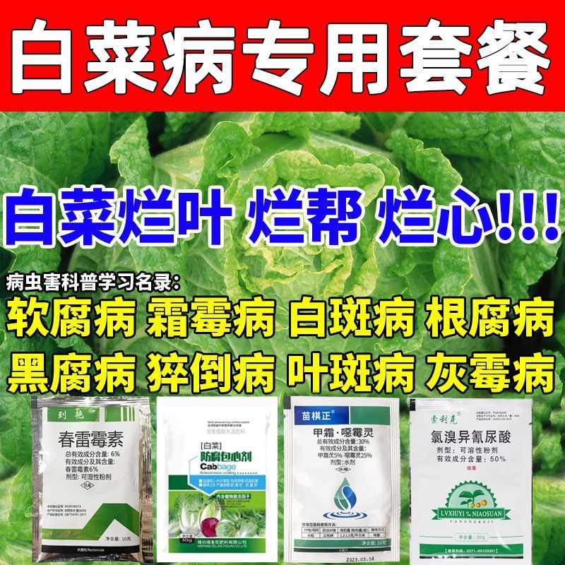 白菜专用药烧心病软腐烂叶
