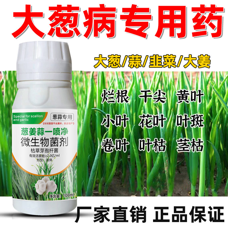 大葱病害专用杀菌剂白斑黄