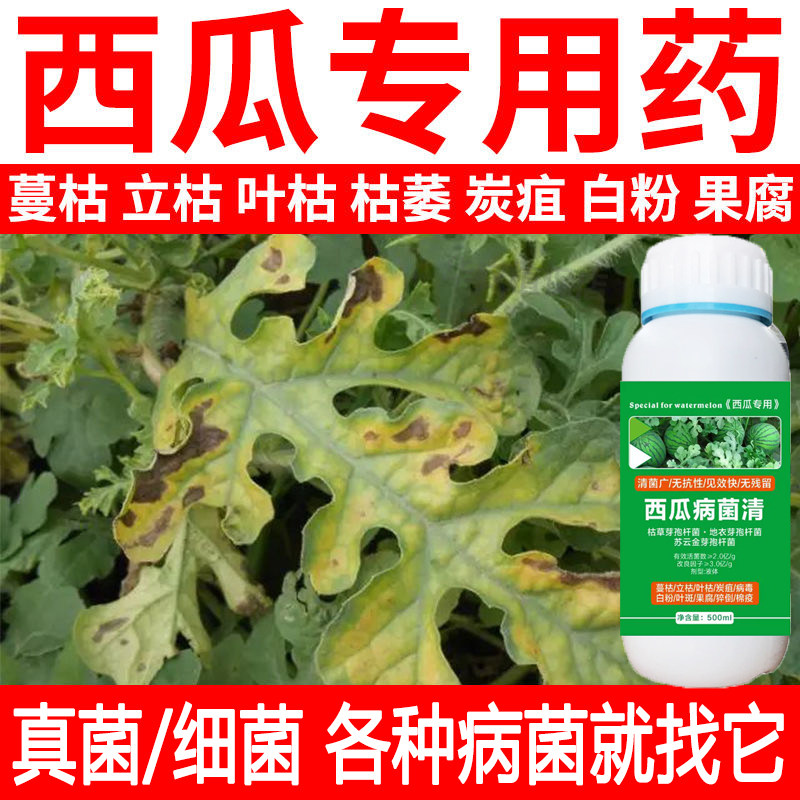 西瓜专用药甜香哈密枯萎蔓