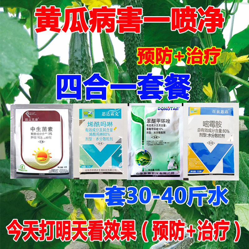 黄瓜病防治专用药靶斑小点