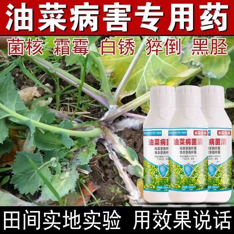 油菜专用药菌核病霜霉猝倒