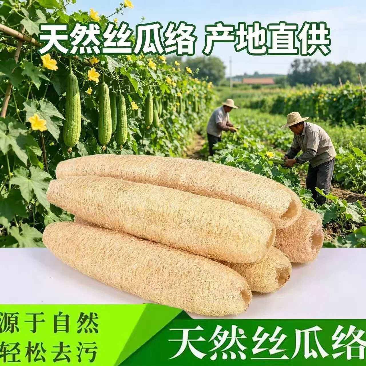 天然丝瓜络丝瓜瓢搓背长条刷锅