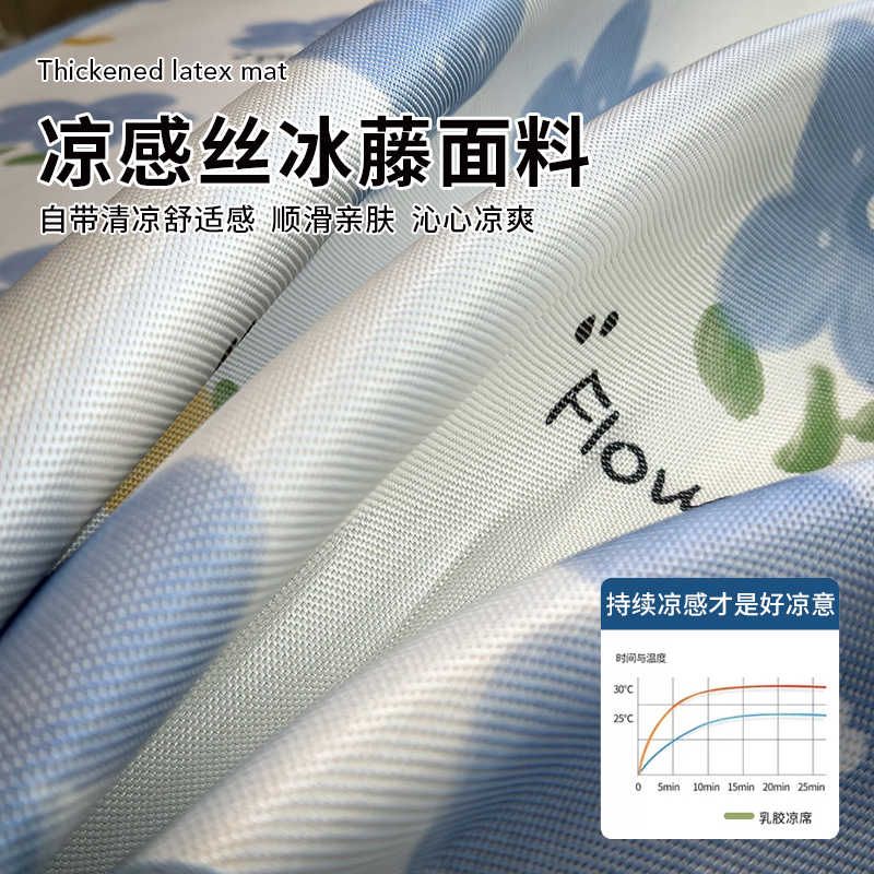 A类夏季冰丝枕套48cmx74cm可爱卡通枕头套装家用2025年新款凉感图片