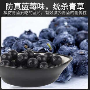 江垂狂暴珠钓青鱼饵料大物颗粒大青黑坑巨物乌青螺丝青鱼软珠珠饵