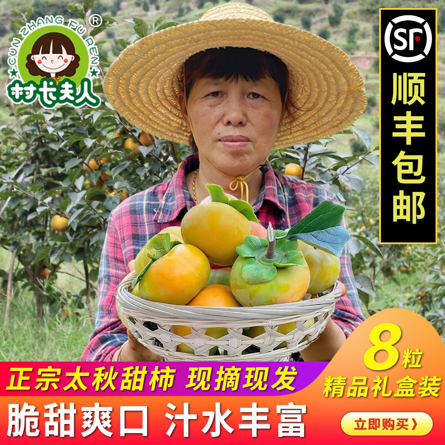 正宗太秋甜柿子水果新鲜现摘浙江大秋脆甜日本柿子大果礼盒8粒装