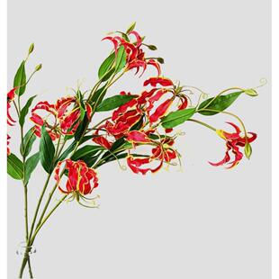 仿真花 嘉兰 火焰百合 家居装饰 花艺师插花 摄影道具 摆件陈设
